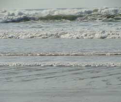rencontre biscarrosse plage
